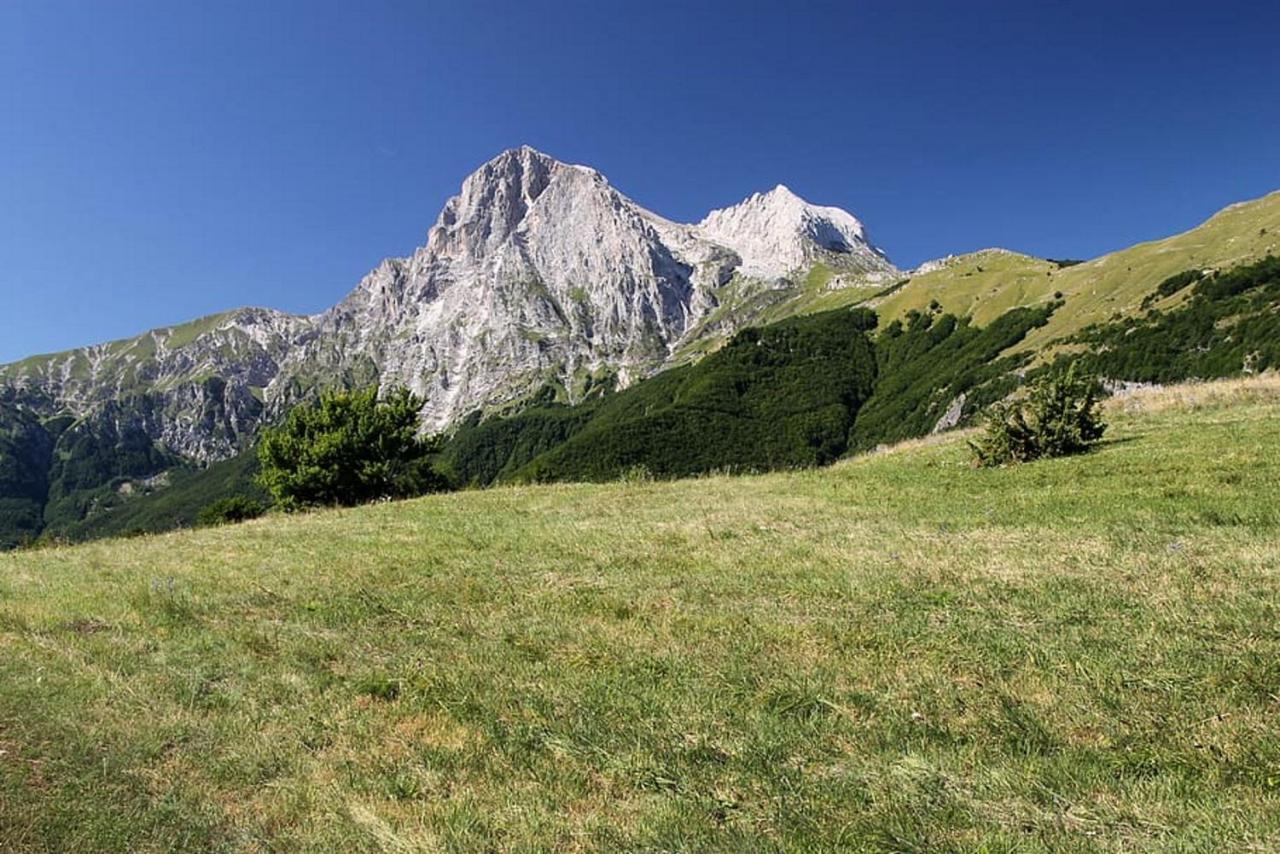 Complesso Turistico Aurora - Camere B&B Poggio Picenze Buitenkant foto